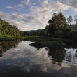 Peru - NP Manu - jezero Machuwasi