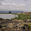 Tanznie - Ngorongoro