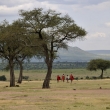 Kea - u Masai Mara