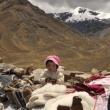 Peru - u nejvyho bodu pejezdu Puno - Cusco - 4335 m.n.m.