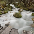 Peru - NP Huascarn