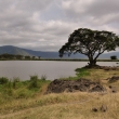 Tanznie - Ngorongoro