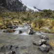 Peru - NP Huascarn